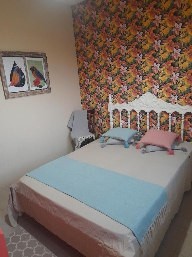 Katsbarnea Hostel Florianopolis Luaran gambar